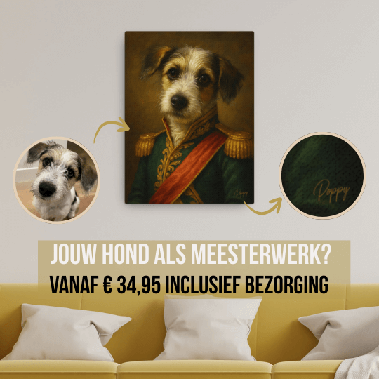 Binky Comfywear hondenportretten: unieke kunstwerken van jouw hond voor €34,95 inclusief bezorging.