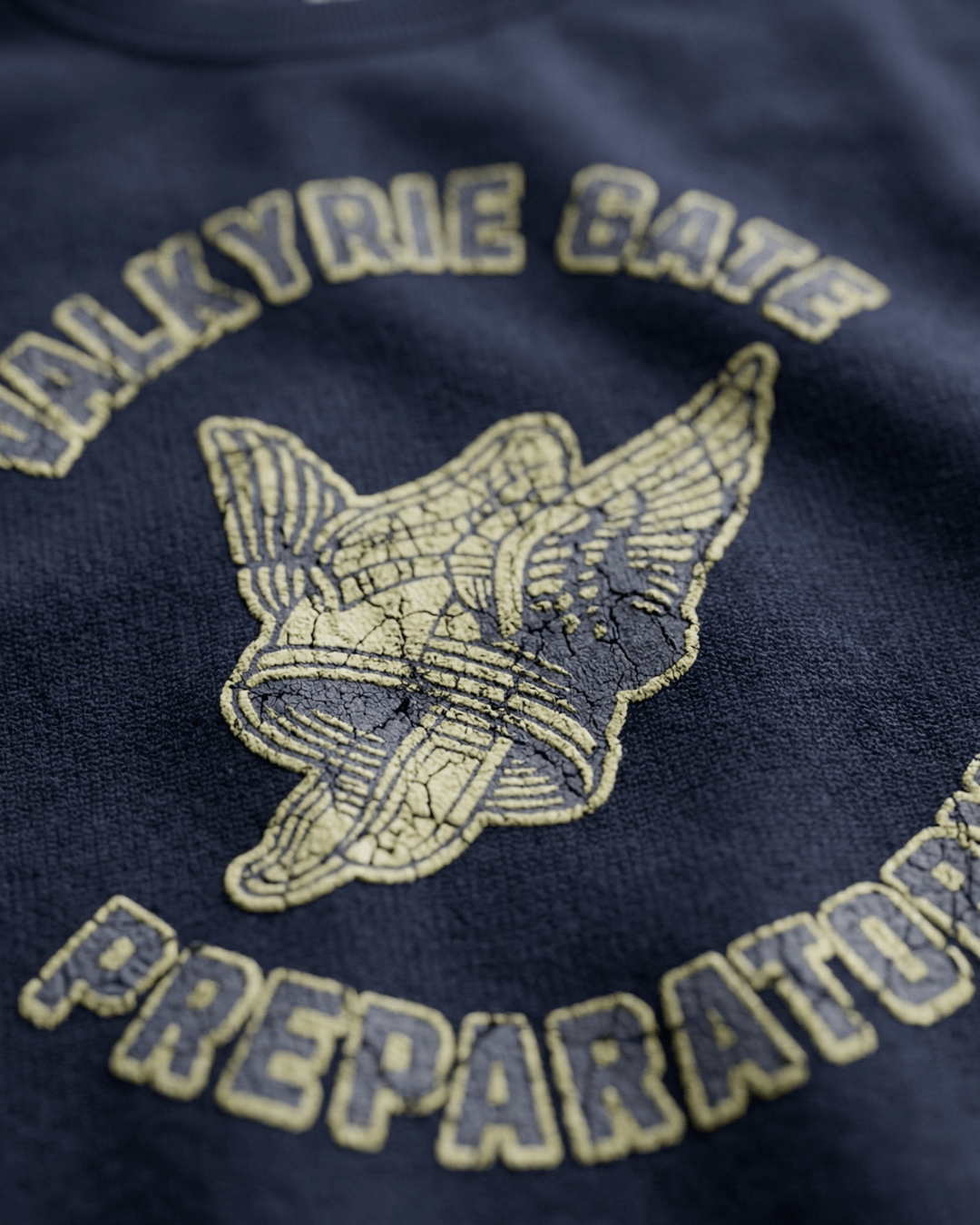 Close-up of the VALKYRIE GATE HEAVY SWEATER featuring a winged helmet emblem and collegiate lettering.